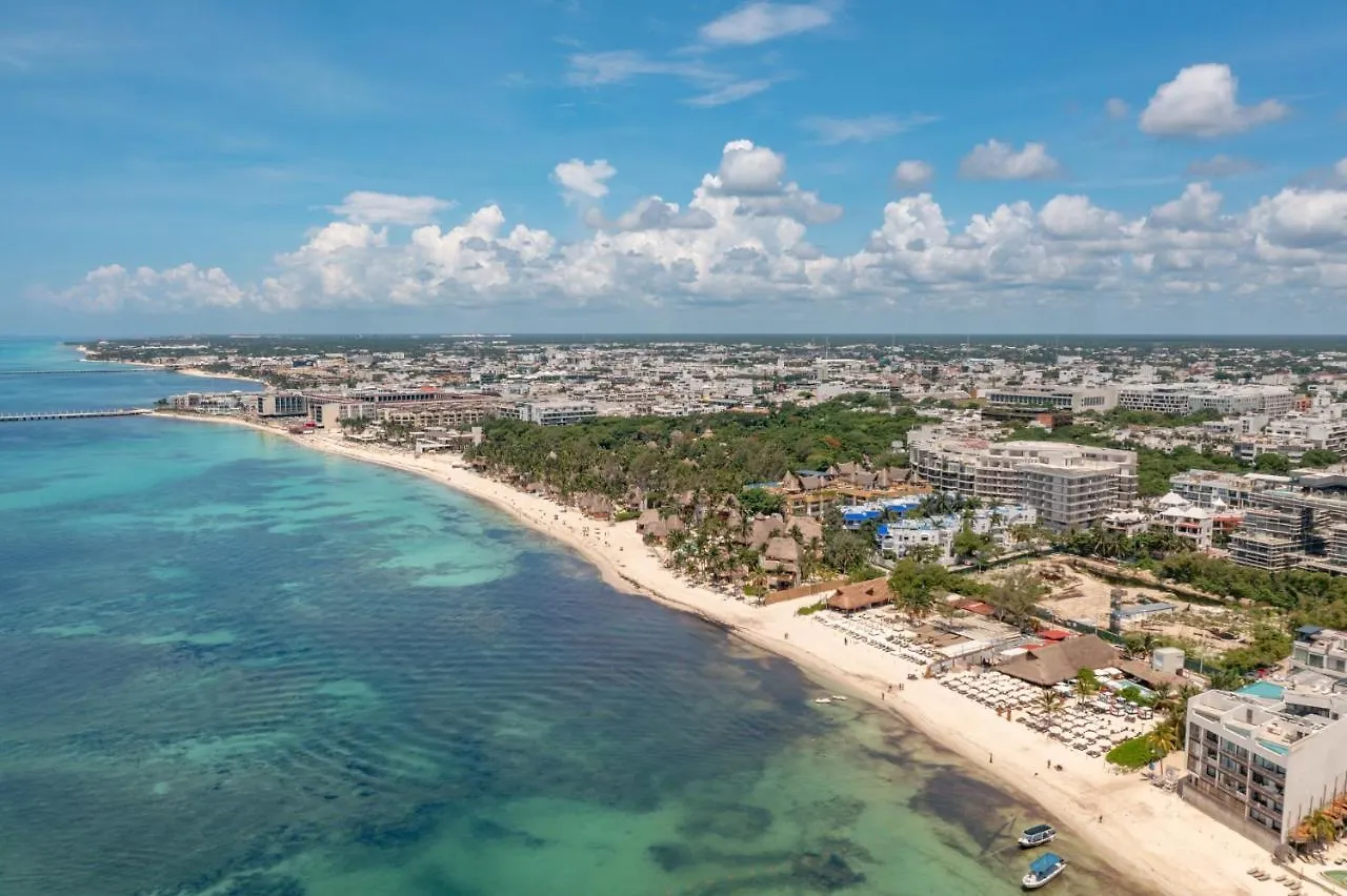 公寓 Bahay Condos Steps From The Beach And 5Th Ave 普拉亚卡门
