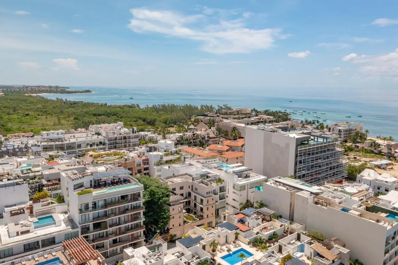 Bahay Condos Steps From The Beach And 5Th Ave Πλάγια Ντελ Κάρμεν